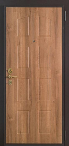 Входная дверь в квартиру утепленная №23
