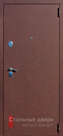 Входные двери с порошковым напылением в Зеленограде «Двери с порошком»